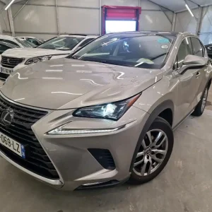 2020 - LEXUS NX 300h 4WD Luxe Euro6d-T
